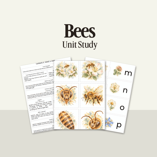 Bees: Unit Study