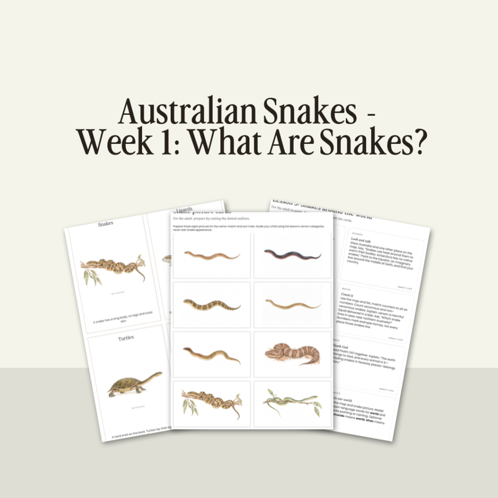 Australian Snakes Unit - Week 1